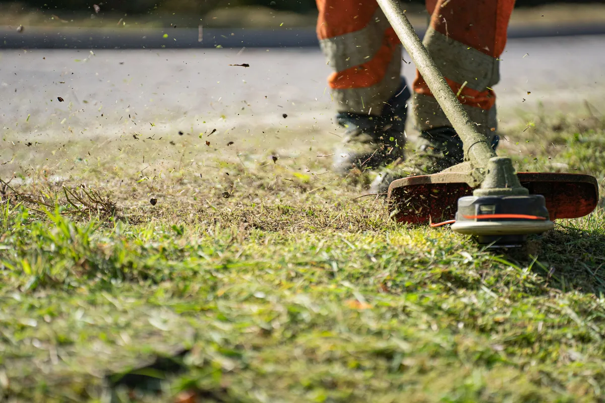 Bushfire Fuel Reduction